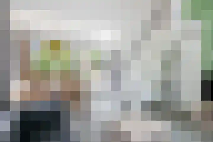 De Bloemert 1 47 Midlaren thumbnail 13