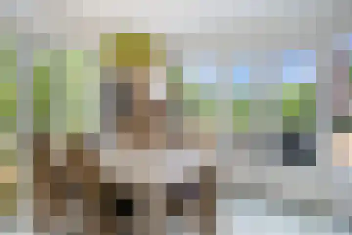 De Bloemert 1 47 Midlaren thumbnail 14