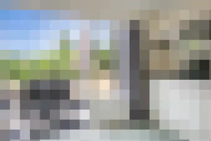 De Bloemert 1 47 Midlaren thumbnail 15