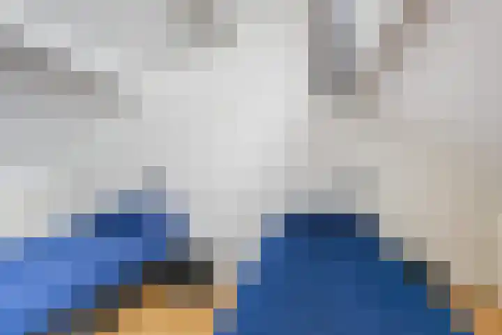 De Bloemert 1 47 Midlaren thumbnail 28