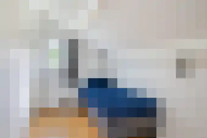 De Bloemert 1 47 Midlaren thumbnail 30