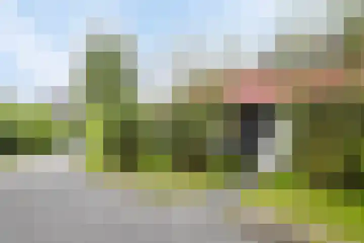 De Bloemert 1 47 Midlaren thumbnail 33