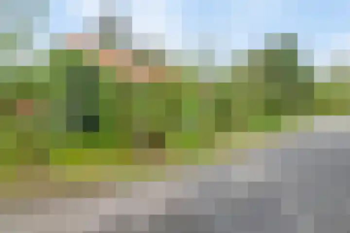 De Bloemert 1 47 Midlaren thumbnail 34
