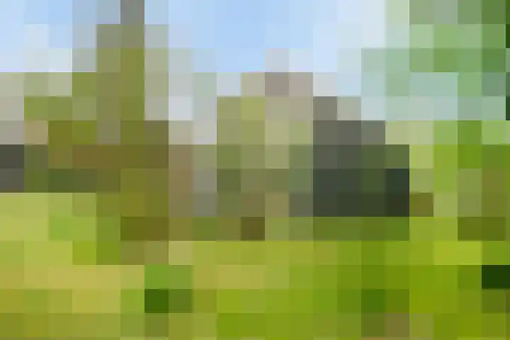 De Bloemert 1 47 Midlaren thumbnail 35