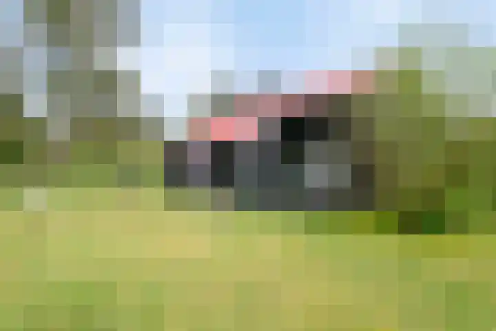 De Bloemert 1 47 Midlaren thumbnail 36