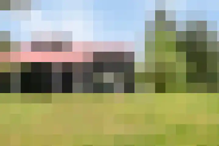 De Bloemert 1 47 Midlaren thumbnail 38
