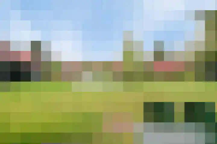 De Bloemert 1 47 Midlaren thumbnail 39