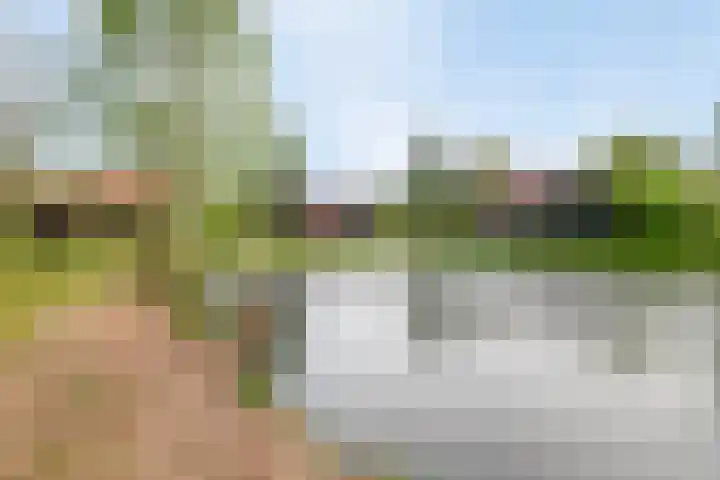 De Bloemert 1 47 Midlaren thumbnail 40