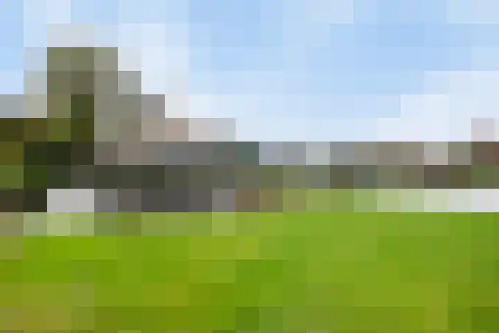 De Bloemert 1 47 Midlaren thumbnail 44