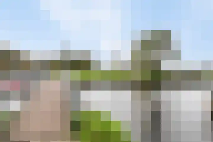 De Bloemert 1 47 Midlaren thumbnail 45