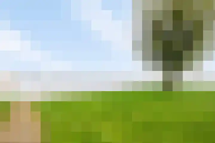 De Bloemert 1 47 Midlaren thumbnail 46