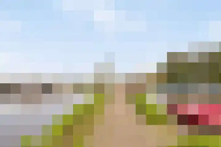 De Bloemert 1 47 Midlaren thumbnail 47