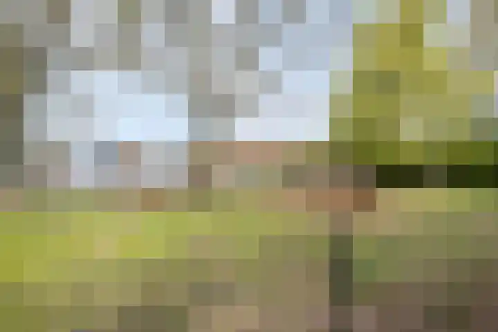 De Bloemert 1 47 Midlaren thumbnail 48
