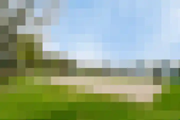 De Bloemert 1 47 Midlaren thumbnail 49