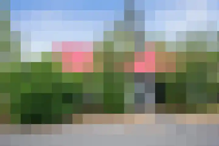 De Bloemert 1 47 Midlaren thumbnail 6