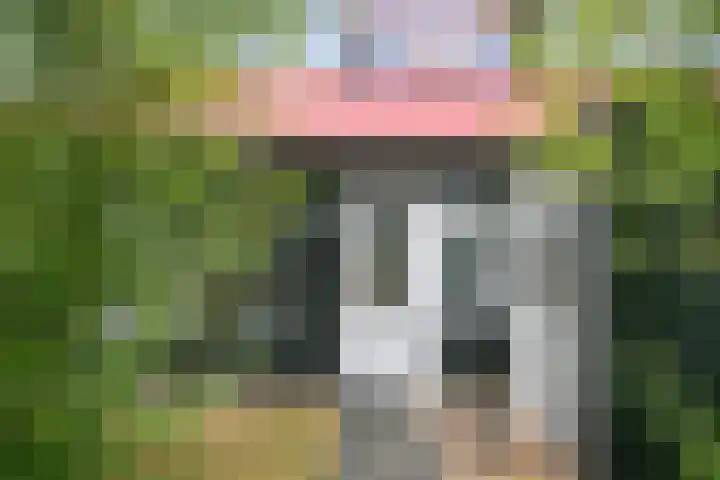 De Bloemert 1 47 Midlaren thumbnail 7