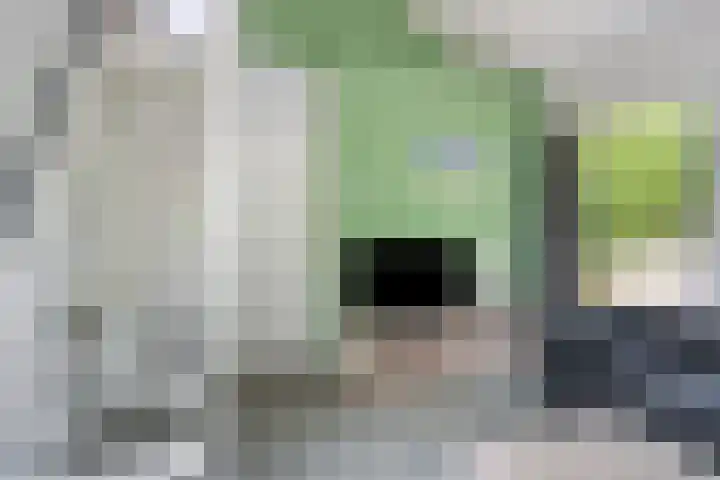 De Bloemert 1 47 Midlaren thumbnail 9