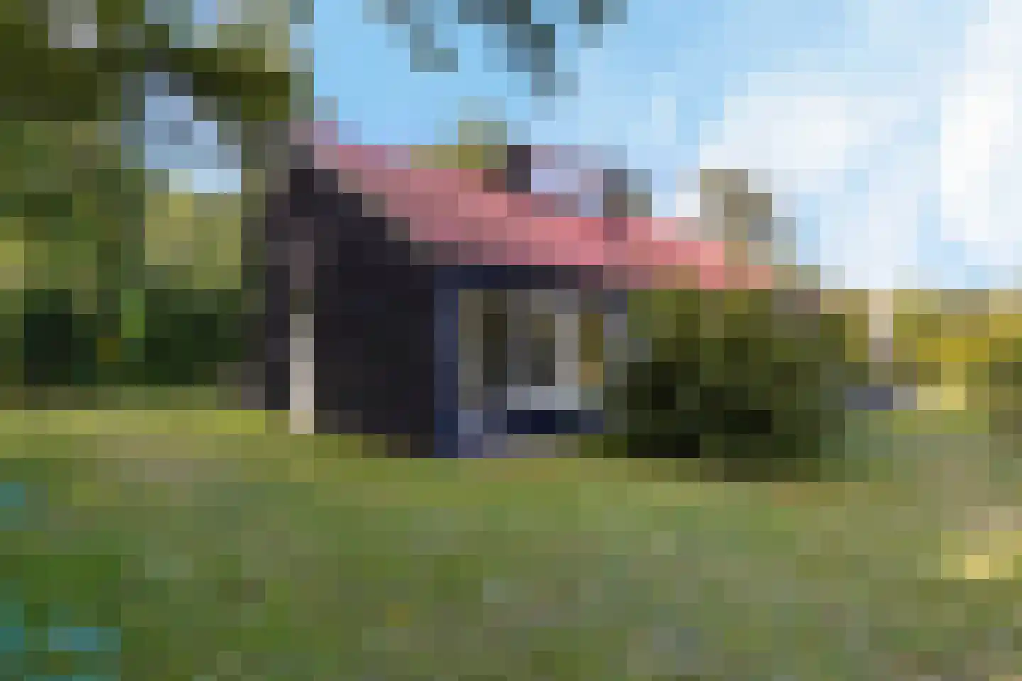 De Bloemert 1 9 Midlaren thumbnail 6