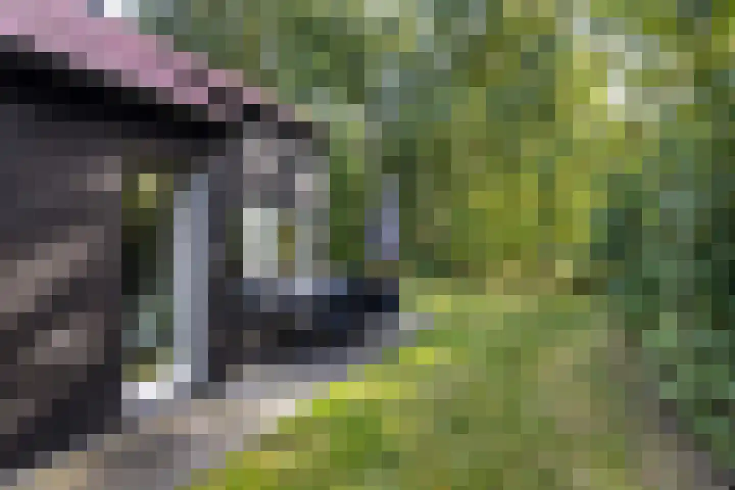 De Bloemert 1 9 Midlaren thumbnail 8