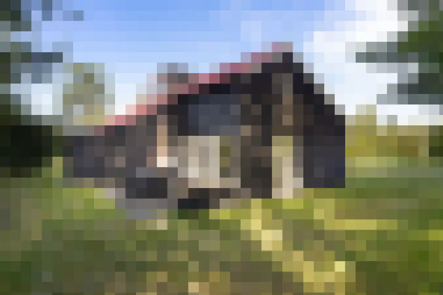 De Bloemert 1 9 Midlaren thumbnail 9