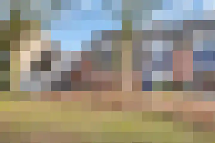 de Bloeven 12 Hellendoorn thumbnail 30