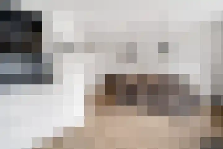 de Bloeven 12 Hellendoorn thumbnail 8