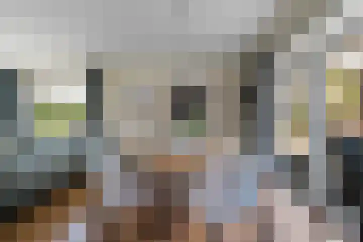 De Blokken 55 Zwartemeer thumbnail 14