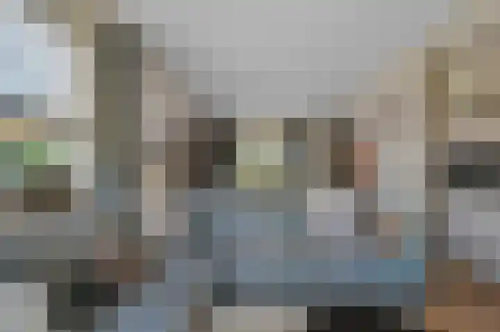De Blokken 55 Zwartemeer thumbnail 17