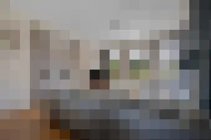 De Blokken 55 Zwartemeer thumbnail 18