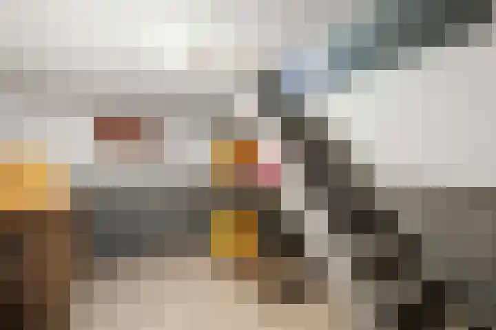 De Blokken 55 Zwartemeer thumbnail 21