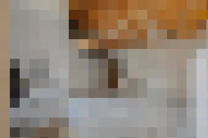 De Blokken 55 Zwartemeer thumbnail 22