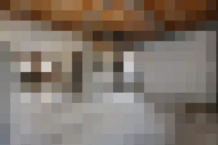 De Blokken 55 Zwartemeer thumbnail 23