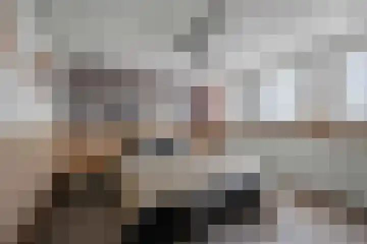 De Blokken 55 Zwartemeer thumbnail 33