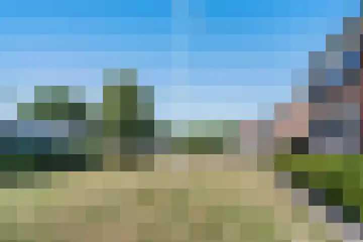 De Blokken 55 Zwartemeer thumbnail 39