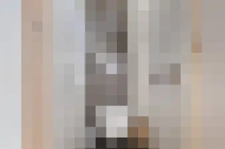 De Blokken 55 Zwartemeer thumbnail 4