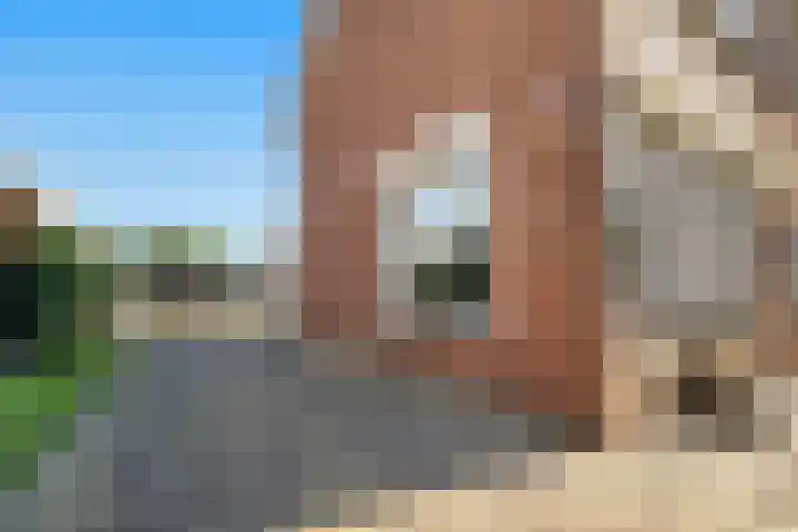 De Blokken 55 Zwartemeer thumbnail 42