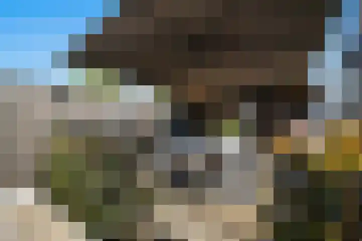 De Blokken 55 Zwartemeer thumbnail 45