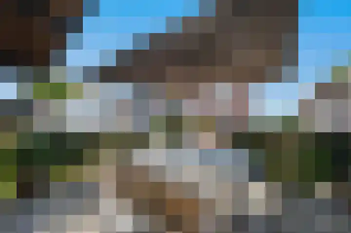 De Blokken 55 Zwartemeer thumbnail 46