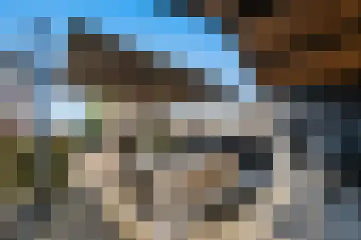 De Blokken 55 Zwartemeer thumbnail 47