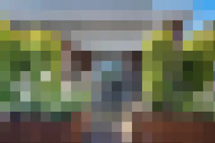 De Blokken 55 Zwartemeer thumbnail 50