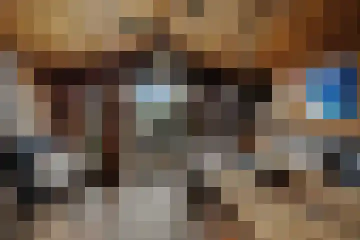 De Blokken 55 Zwartemeer thumbnail 52