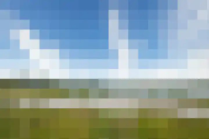 De Blokken 55 Zwartemeer thumbnail 56