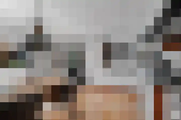 De Blokken 55 Zwartemeer thumbnail 7
