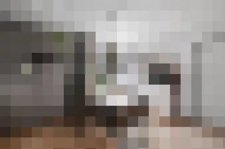 De Blokken 55 Zwartemeer thumbnail 8