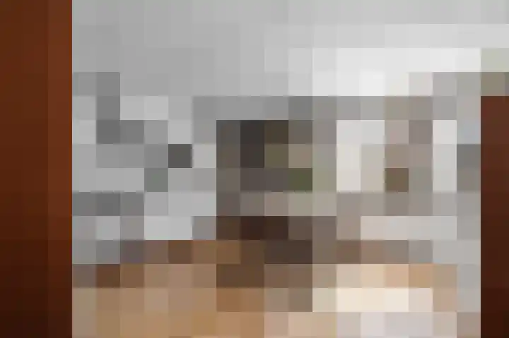 De Blokken 55 Zwartemeer thumbnail 9