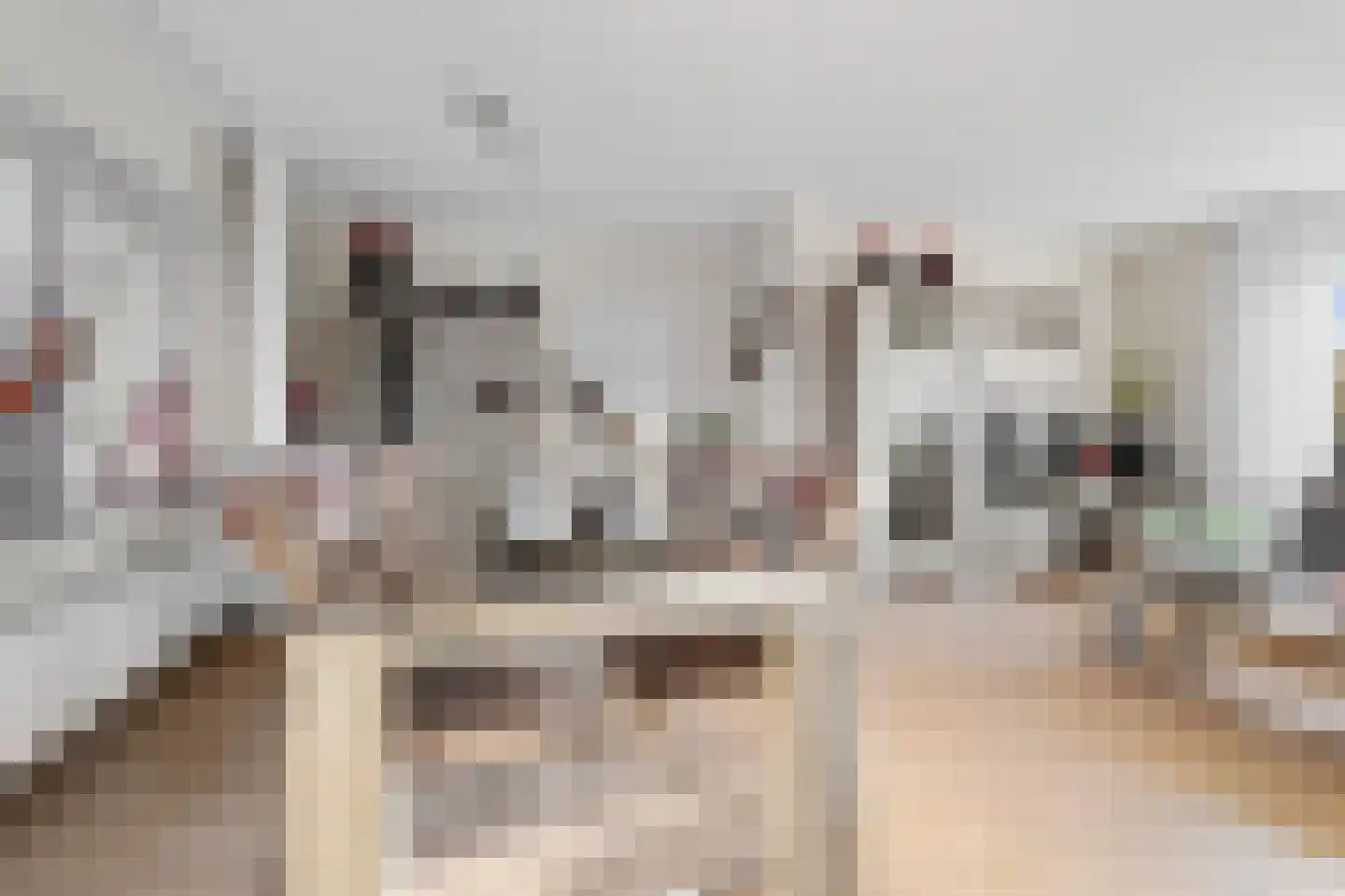 De Blokken 57 Zwartemeer thumbnail 11