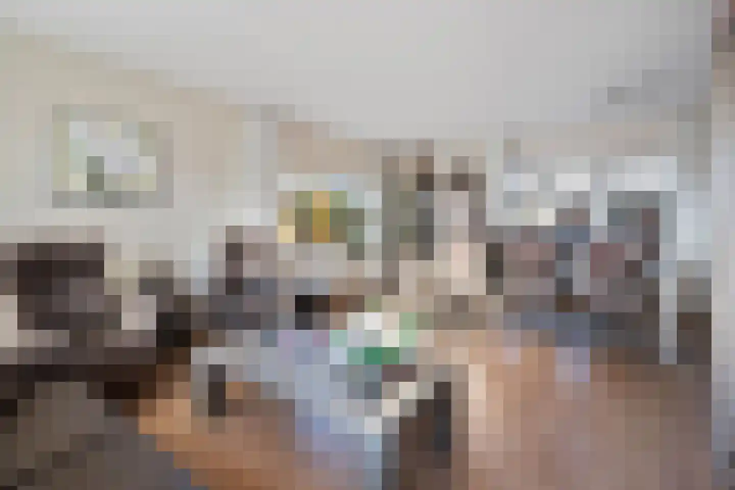 De Blokken 57 Zwartemeer thumbnail 14