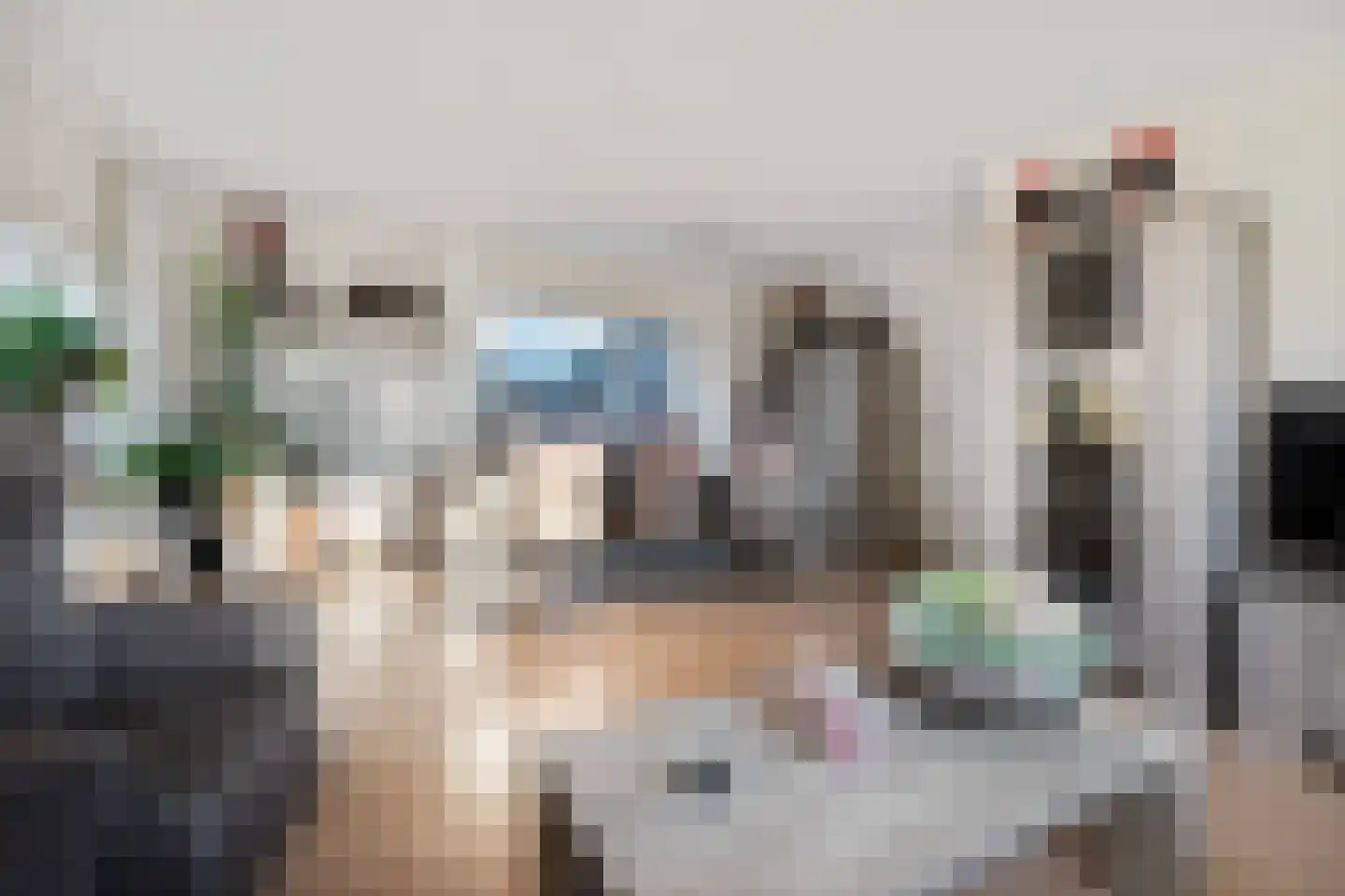 De Blokken 57 Zwartemeer thumbnail 15