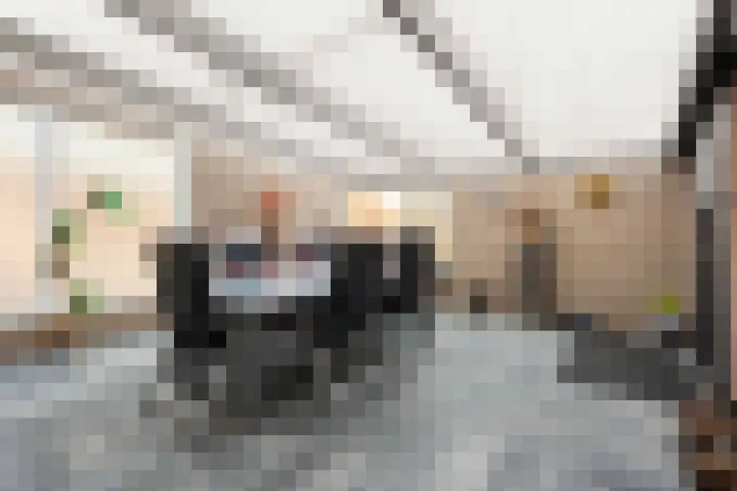 De Blokken 57 Zwartemeer thumbnail 18