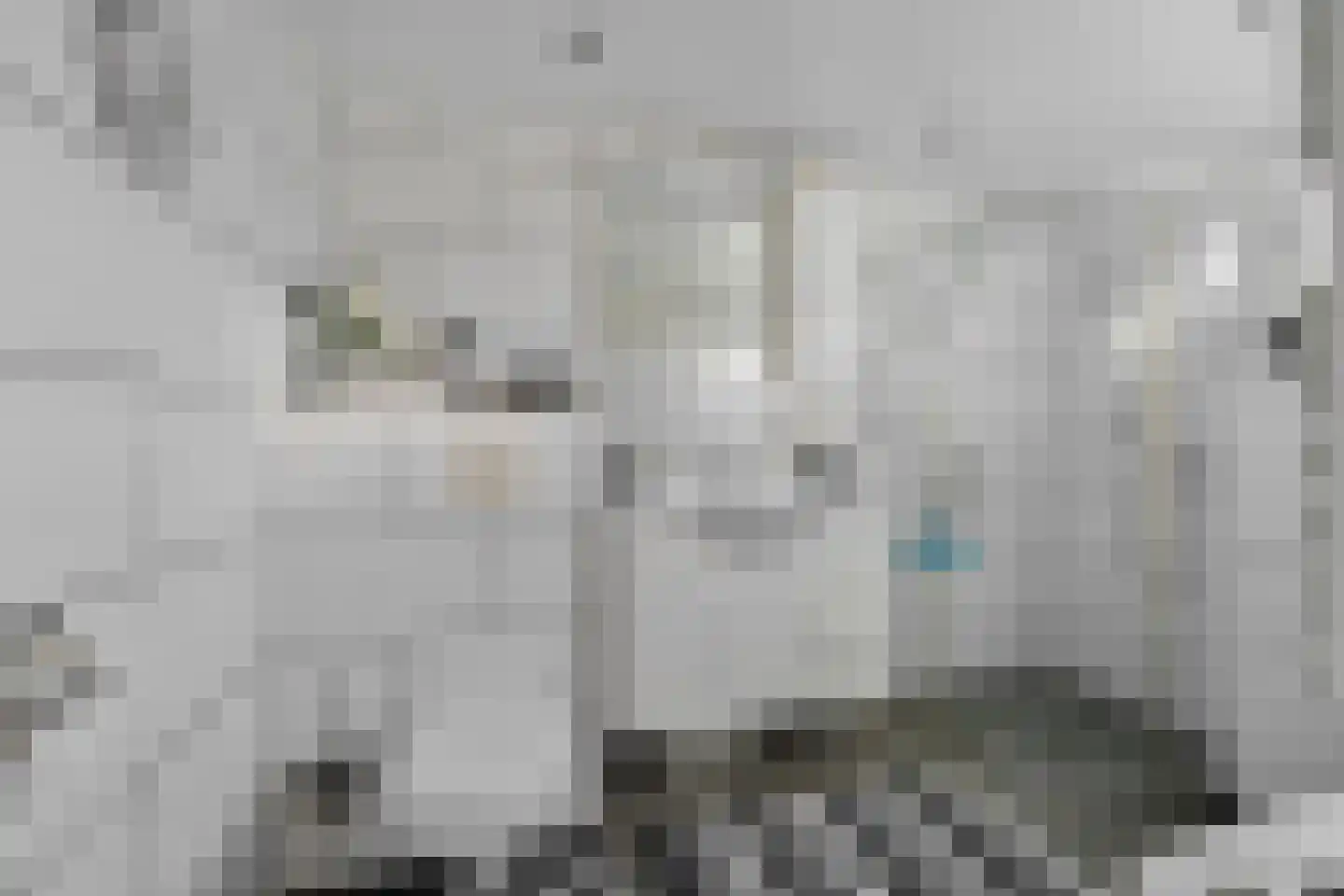 De Blokken 57 Zwartemeer thumbnail 22